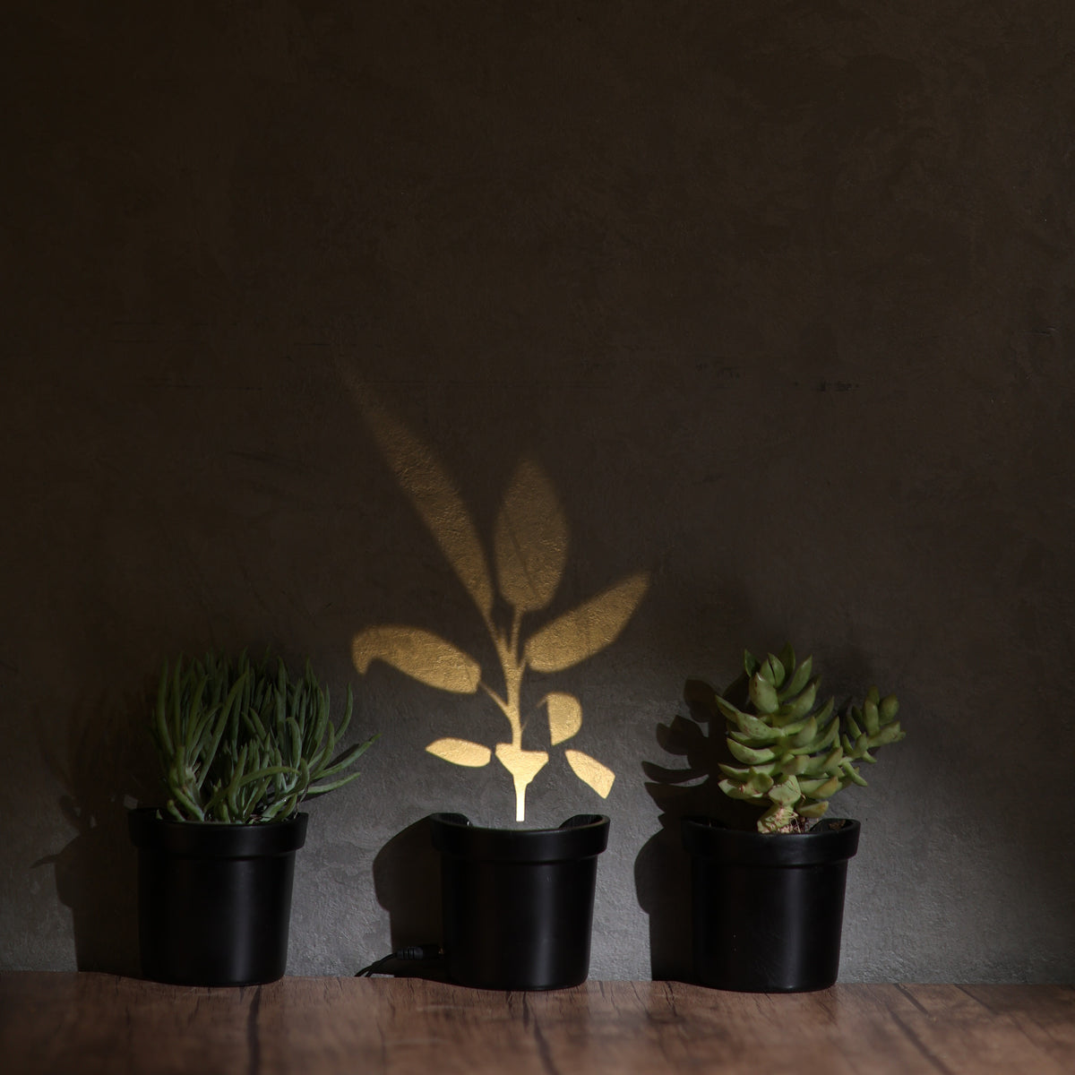 plant pot lights up Light up Plants – Adora Lights