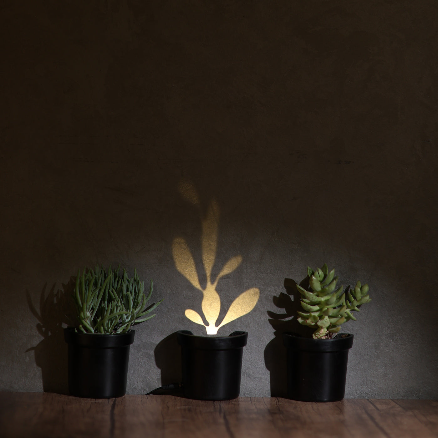light up pot plants Light up Plants – Adora Lights