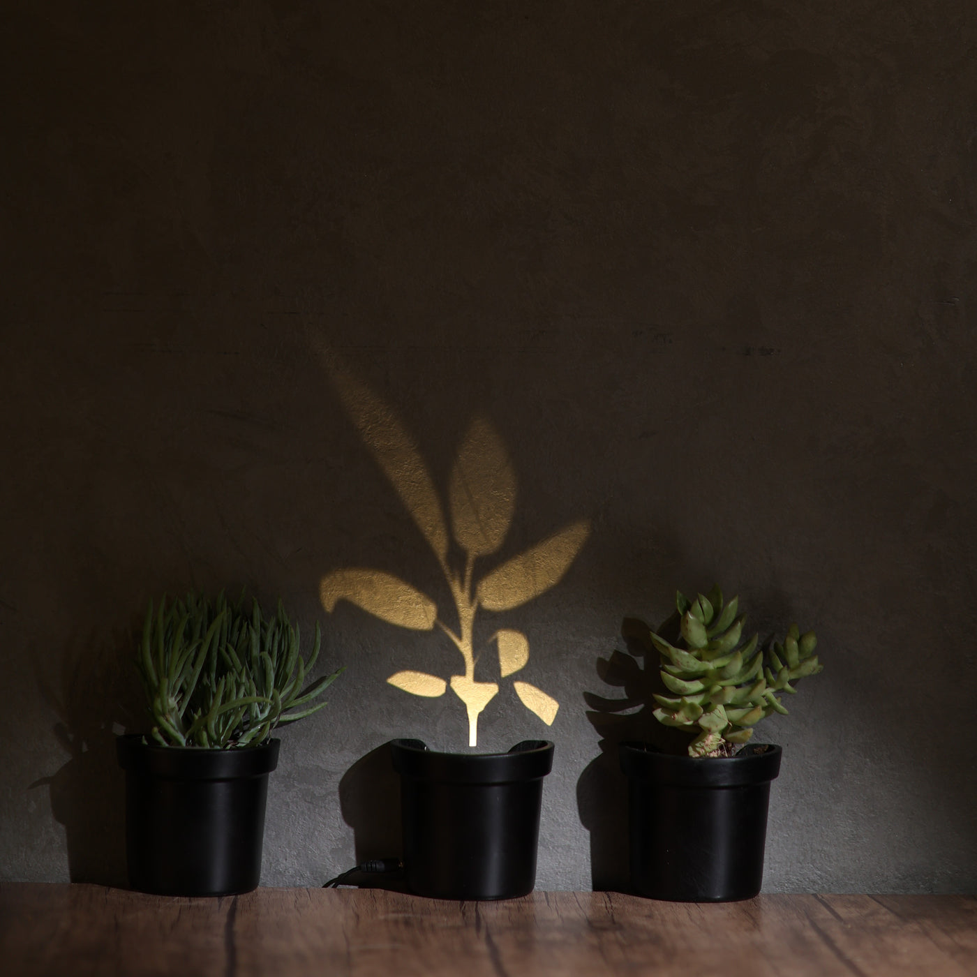 light up indoor plants Light up Plants – Adora Lights