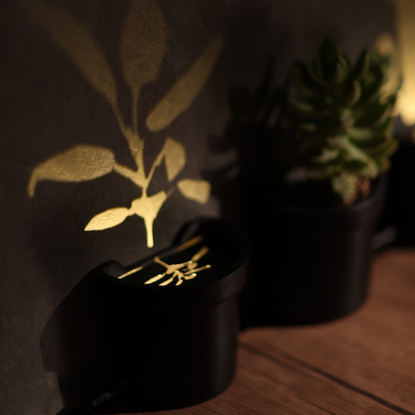 plant pots with lights Light up Plants – Adora Lights