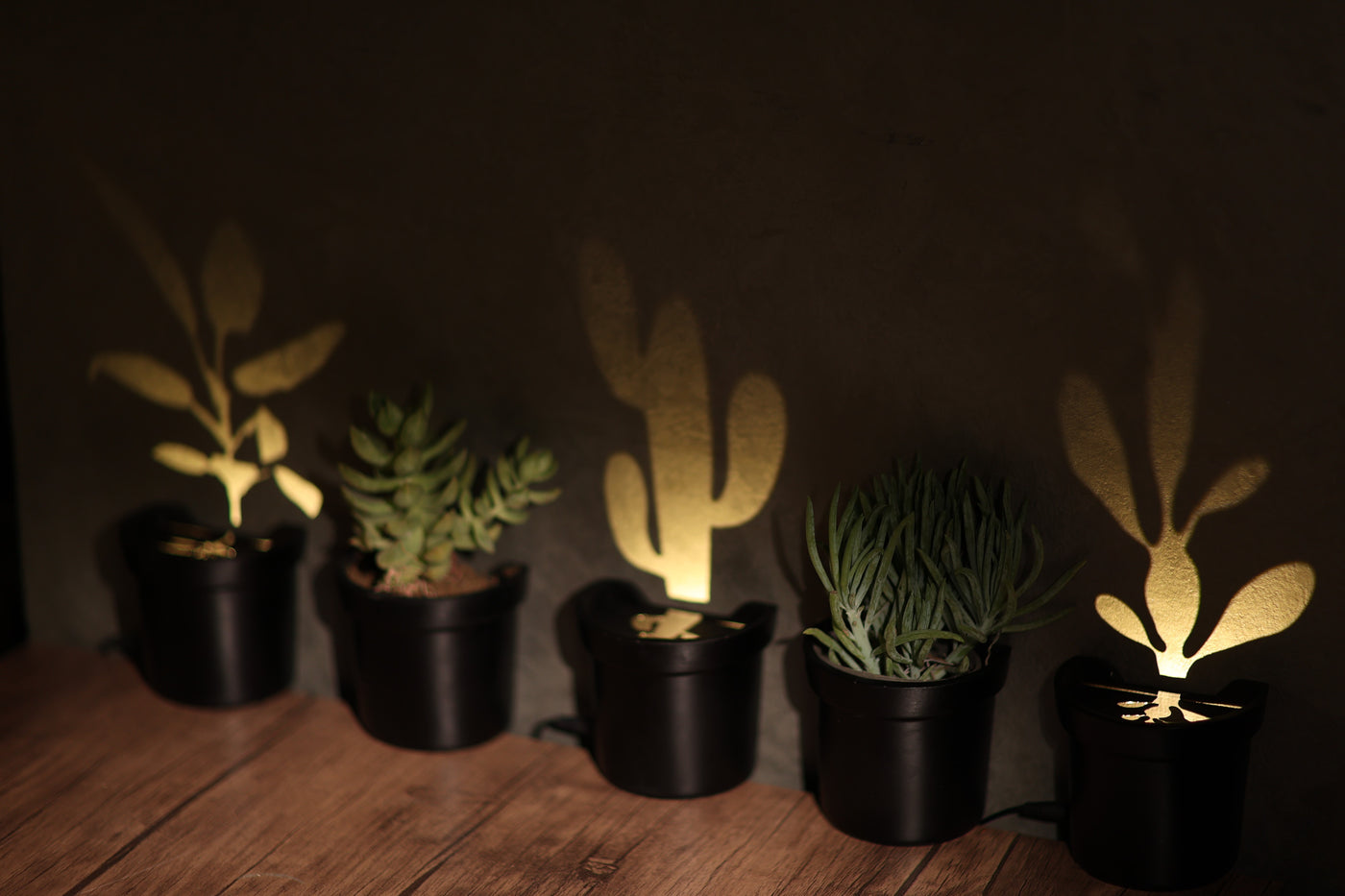 light up plant pots Light up Plants – Adora Lights