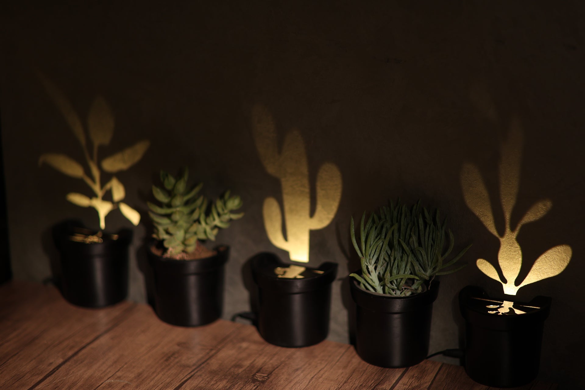 Light up Plants