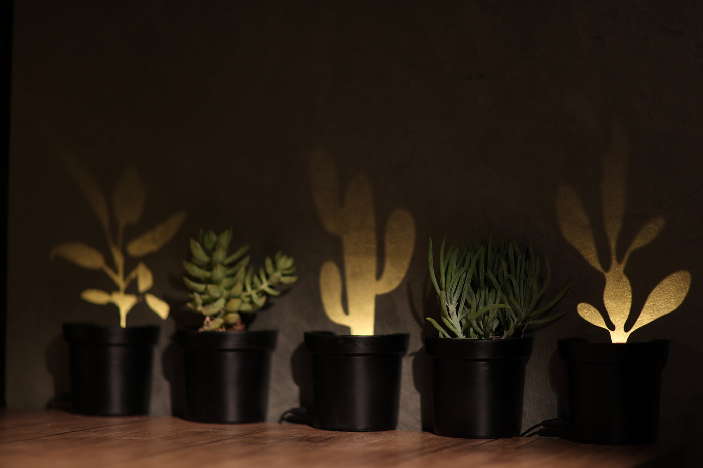 lighted potted plants Light up Plants – Adora Lights